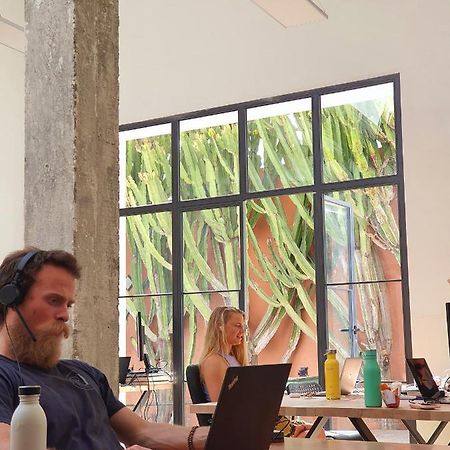 Bed and Breakfast Cactus Coliving & Coworking Arona  Exterior foto