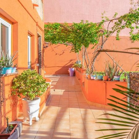 Bed and Breakfast Cactus Coliving & Coworking Arona  Exterior foto