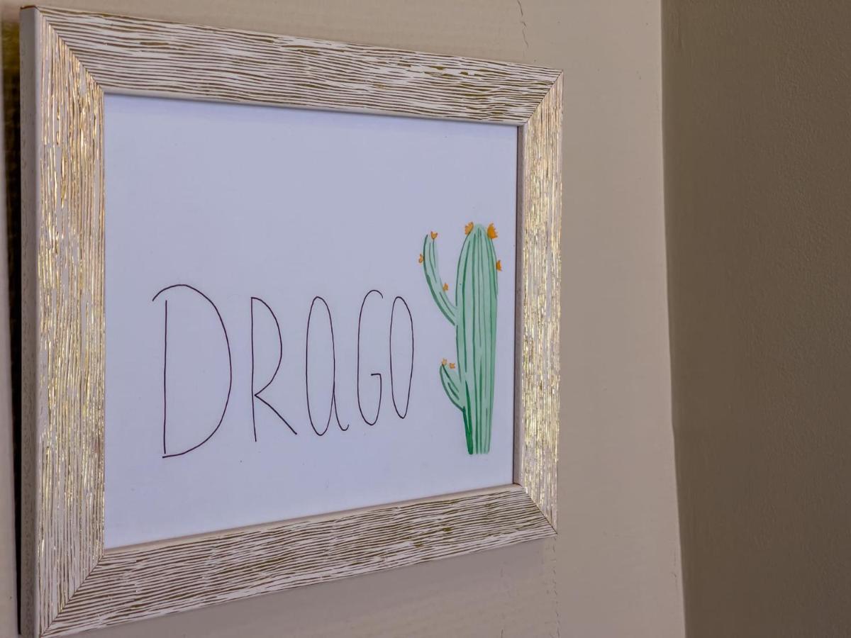 Bed and Breakfast Cactus Coliving & Coworking Arona  Exterior foto