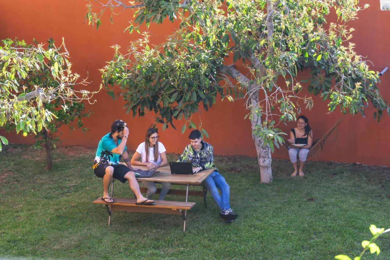 Bed and Breakfast Cactus Coliving & Coworking Arona  Exterior foto